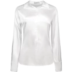 Hobemty Women's Point Collar Long Sleeves Button Down Satin Work Shirt 10 Hobemty Women's Point Collar Long Sleeves Button Down Satin Work Shirt -Style Haven Shop GUEST 3ea6a932 8758 4974 81c6 0891d63b16b8